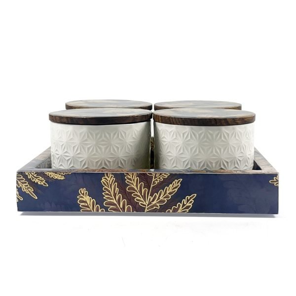 4-Jar Condiment Set with Lids on Tray – Stylish Kitchen Storage