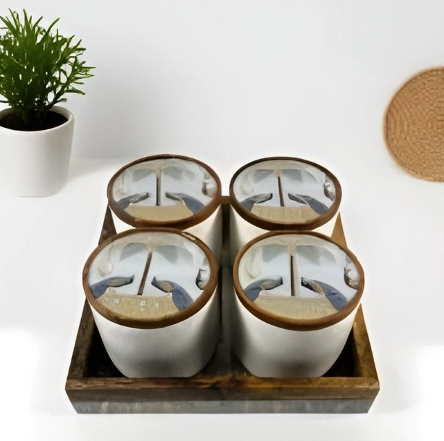 Sanskriti Ceramic 4 Pcs Jars-Spice Storage (Set of 1)